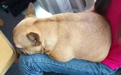 一姐rapper潮水太多一